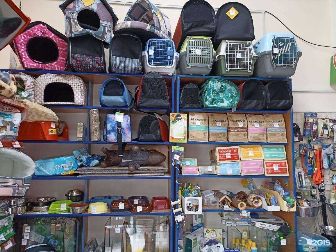 Отзывы на компанию Джамбо в г. Новороссийск c фото