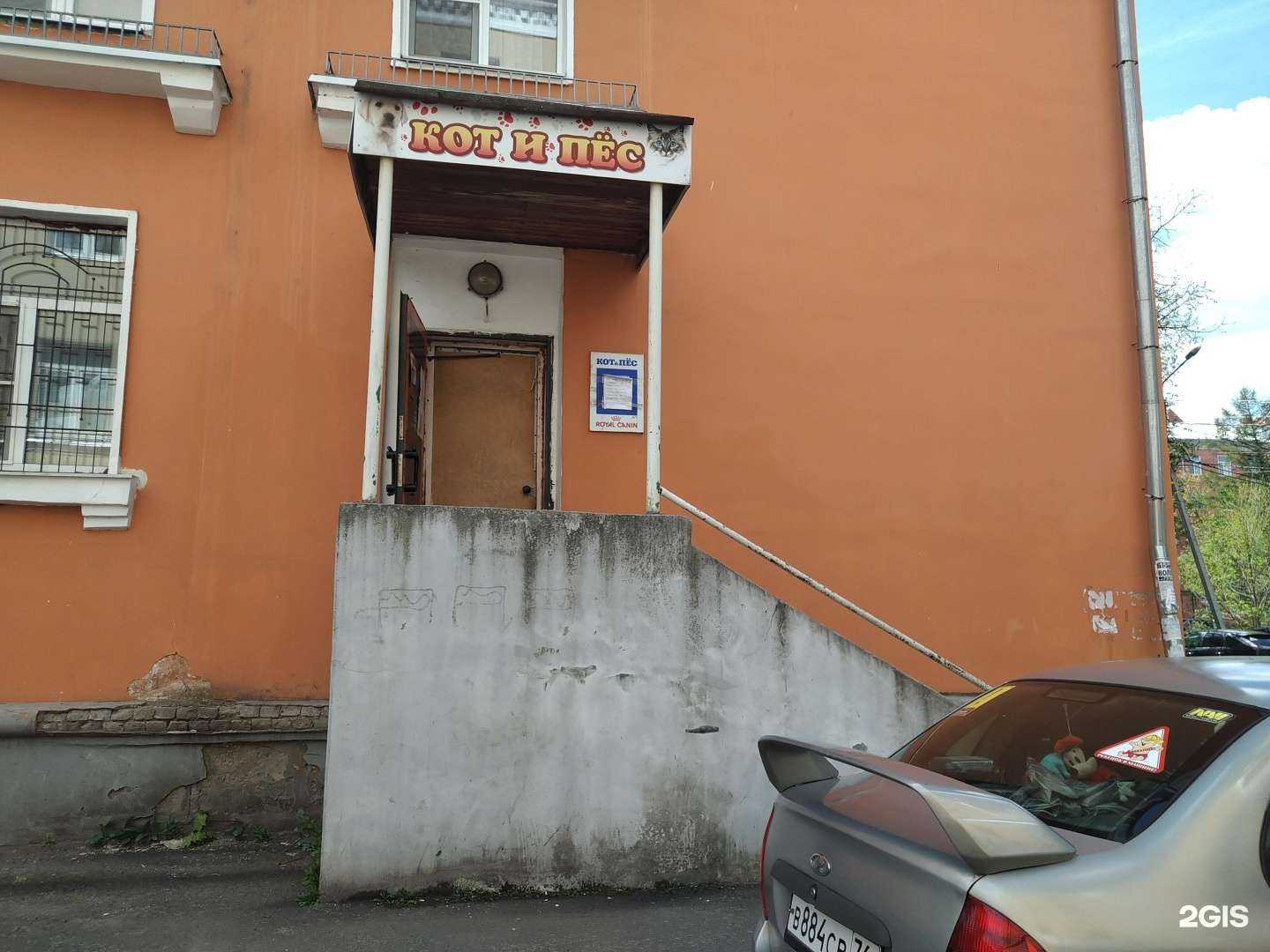 Отзывы на компанию Кот & Пес в г. Рыбинск c фото