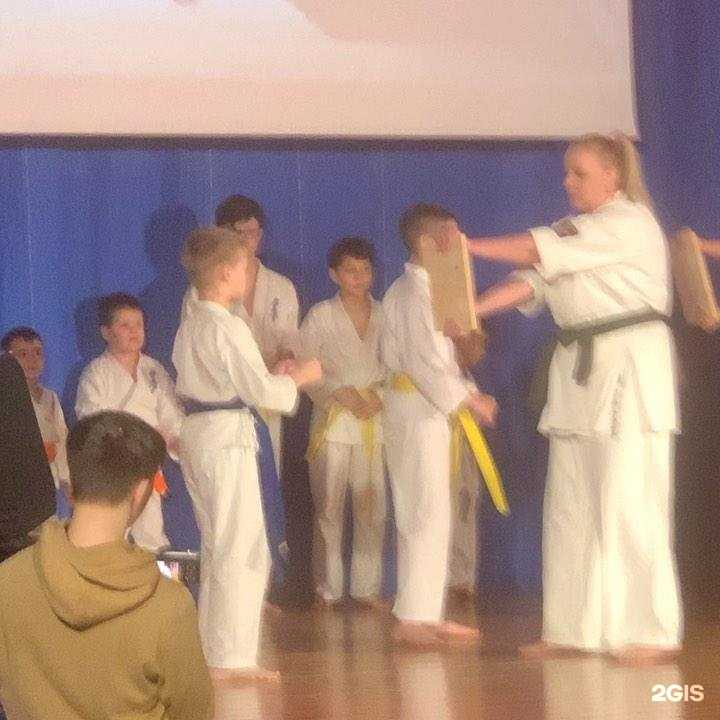 Отзывы на компанию Школа каратэ кёкусинкай-кан Республики Татарстан в г. Казань c фото