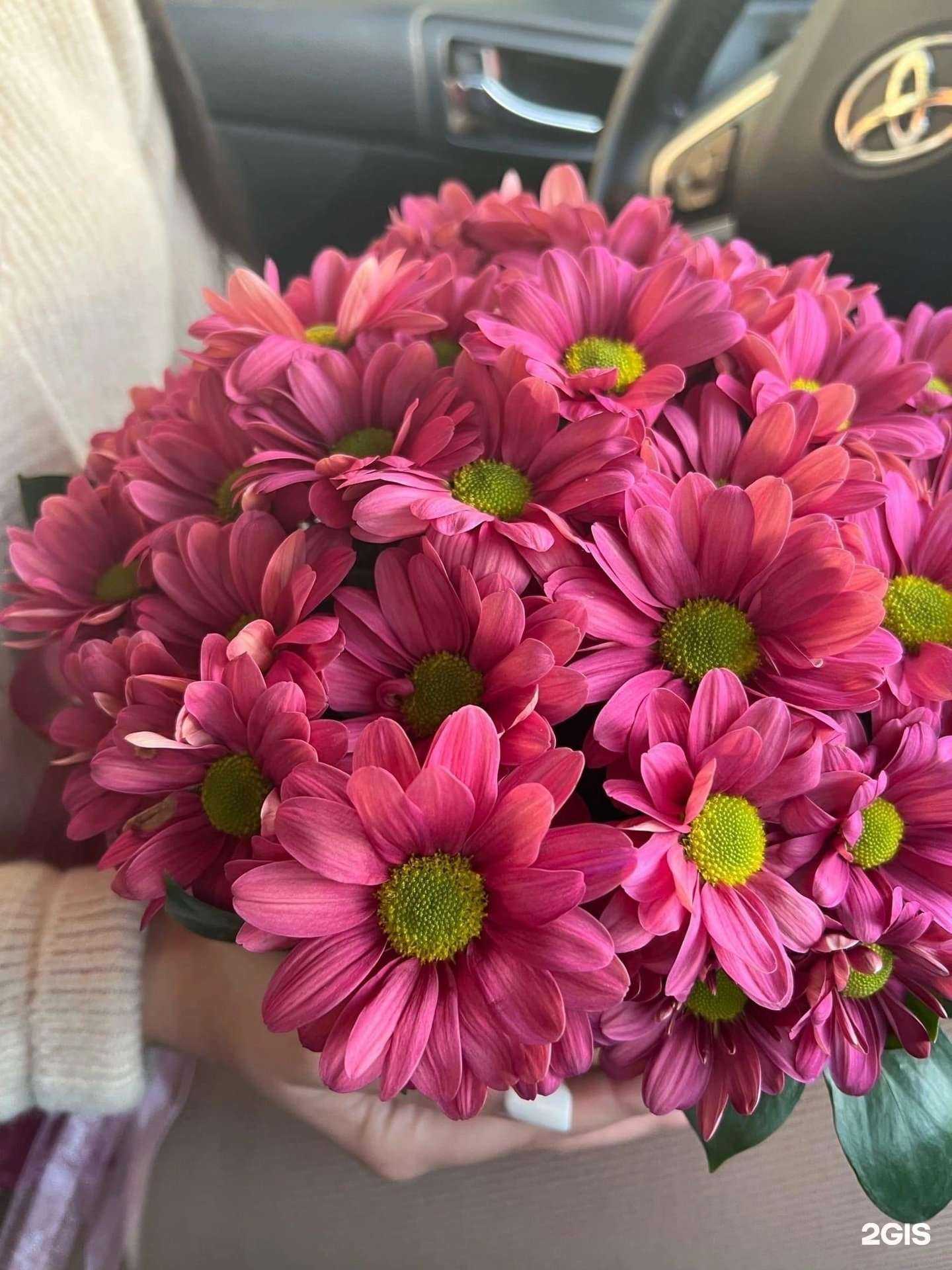 Отзывы на компанию Розы44 в г. Кострома c фото