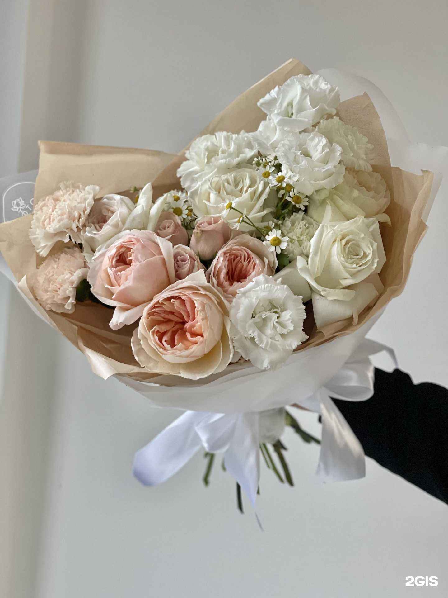 Отзывы на компанию Lotos в г. Новосибирск c фото