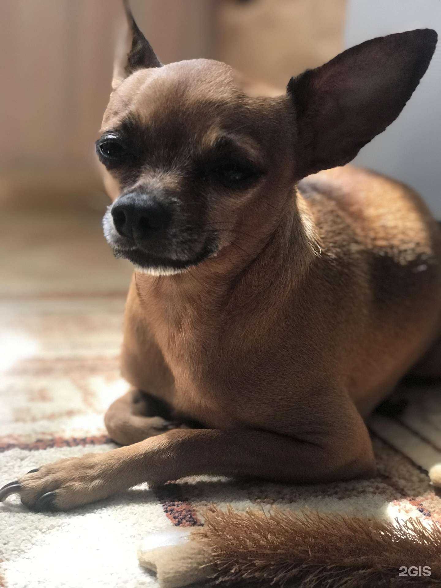 Отзывы на компанию Центральная в г. Краснодар c фото