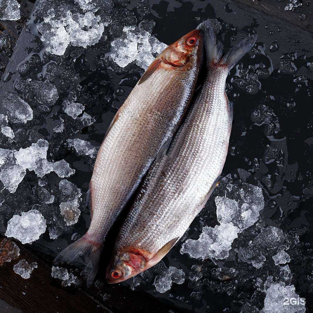 Отзывы на компанию Рыбная лавка в Якутске c фото