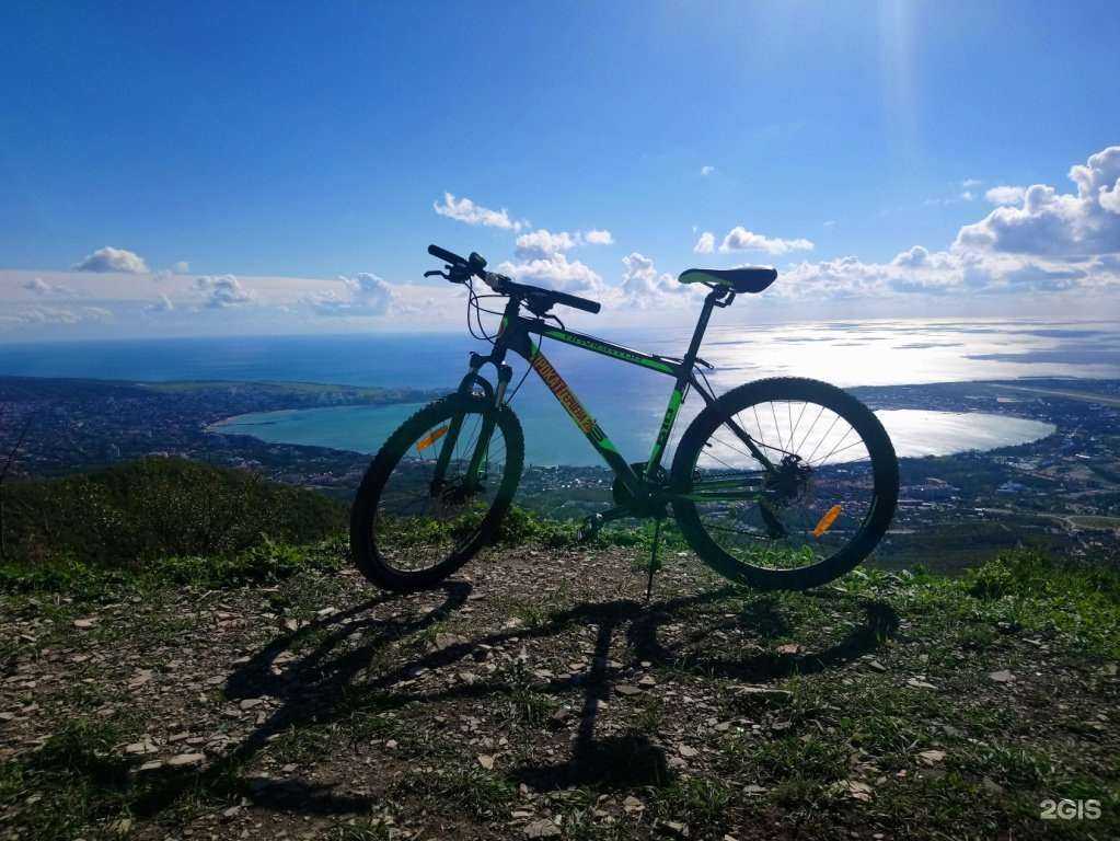 Отзывы на компанию Служба проката велосипедов, мопедов и каяков в Геленджике c фото