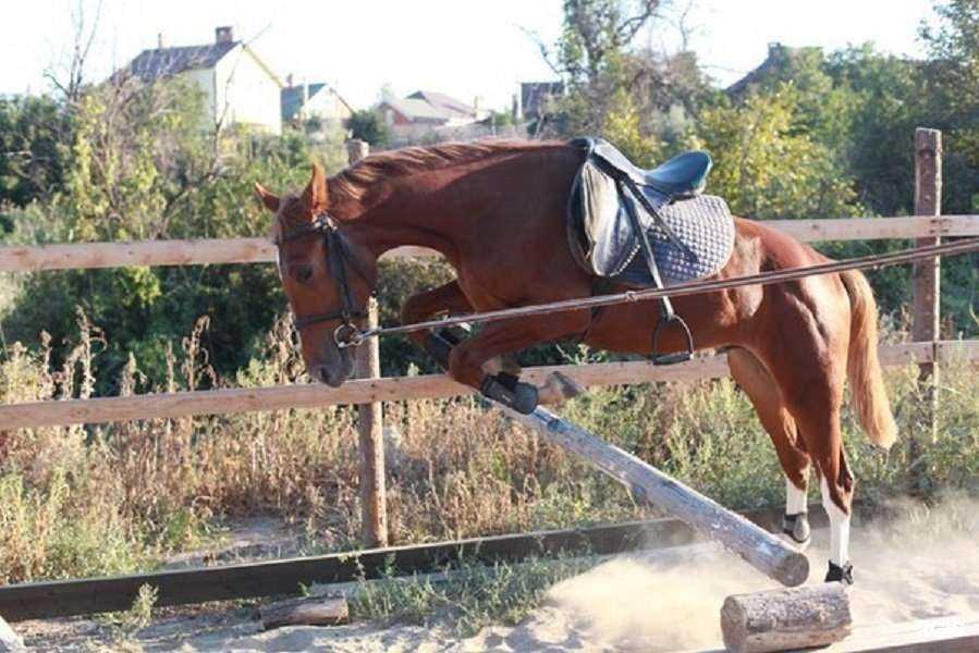 Отзывы на компанию Левада в Ростове-на-Дону c фото