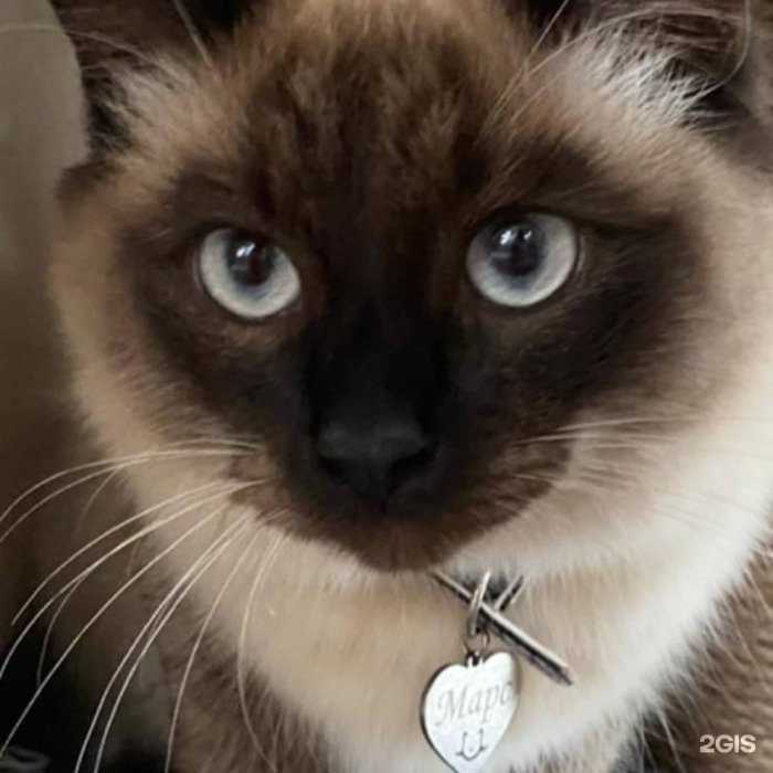 Отзывы на компанию LaserSkills  в Казани c фото