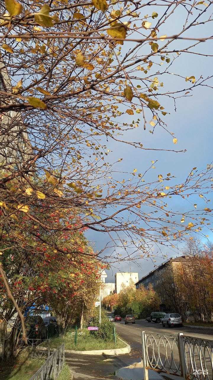 Отзывы на компанию G.G. Fast Food в Мурманске c фото