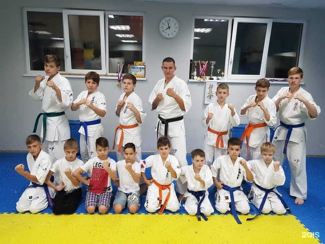 Отзывы на компанию Южная Федерация Киокусинкай каратэ в Сочи c фото