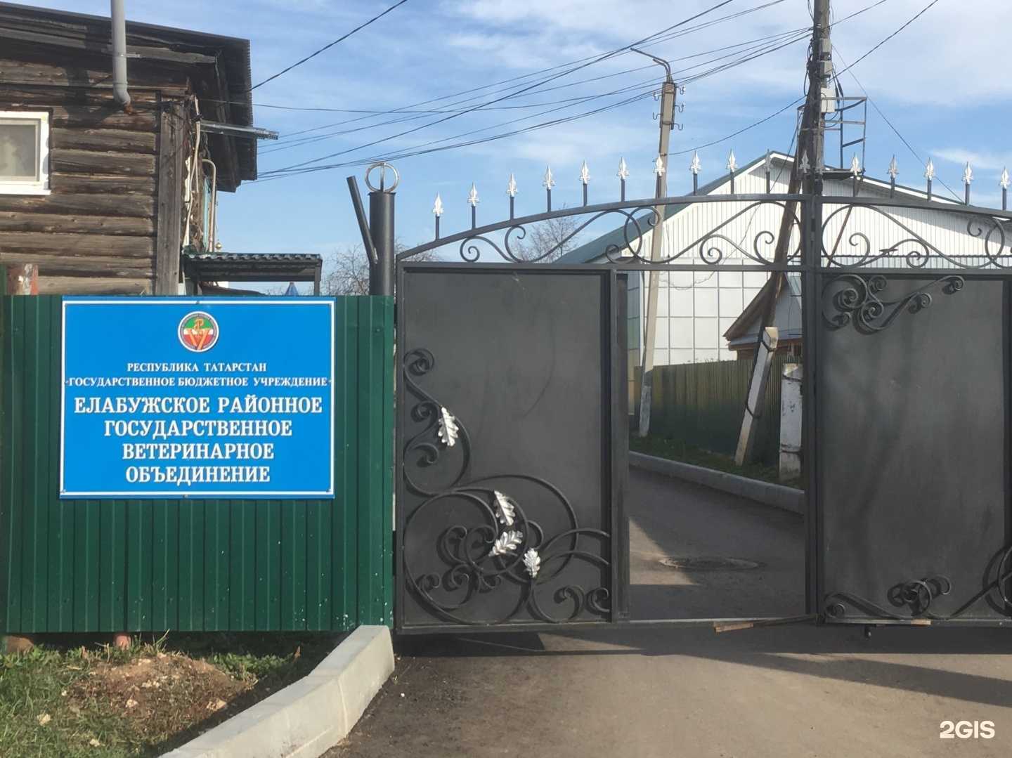 Отзывы на компанию Елабужское государственное ветеринарное объединение в Елабуге c фото