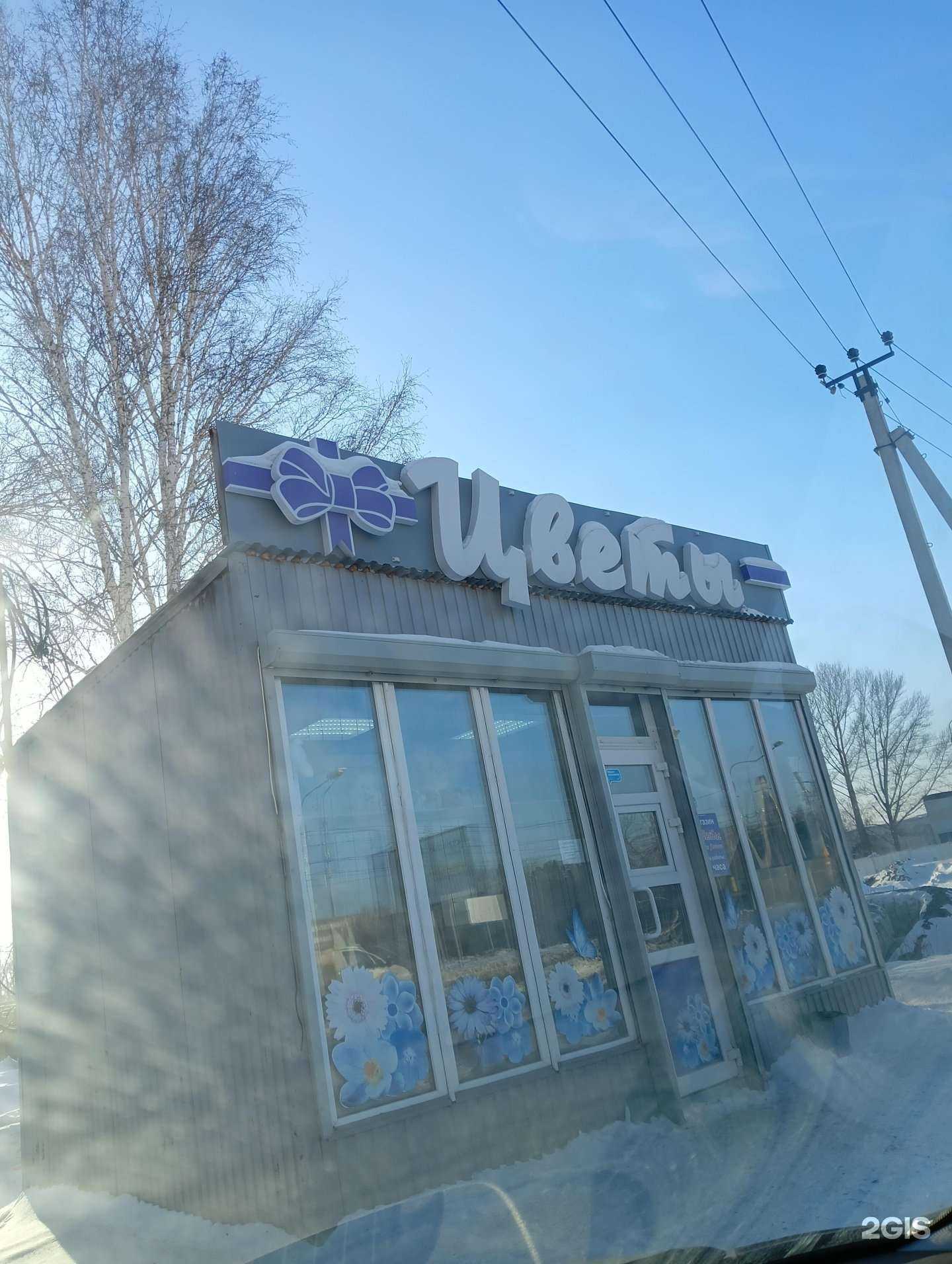 Отзывы на компанию Кактус в Омске c фото - фотография 2 из 2