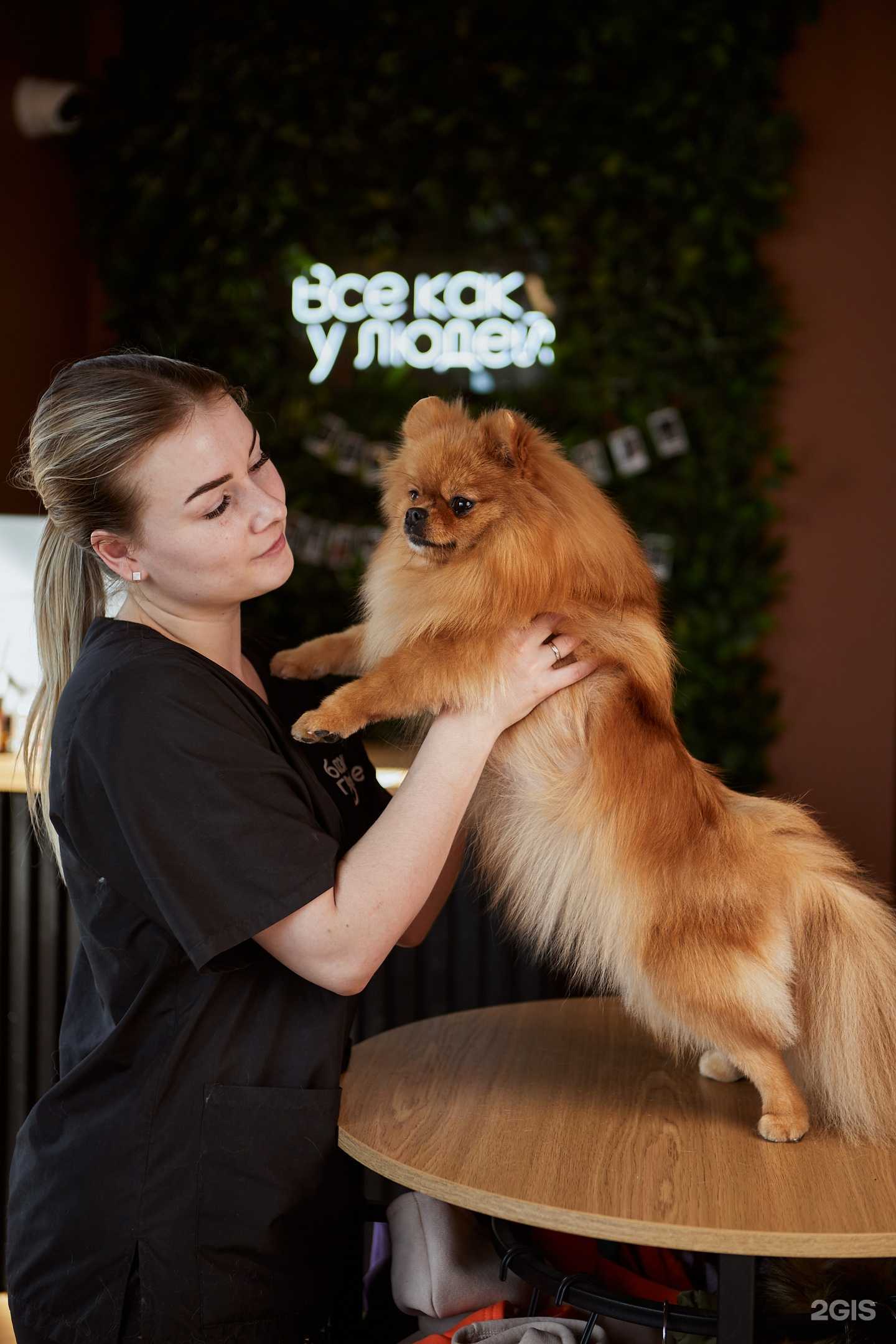 Отзывы на компанию Блэкгрумер.рф в г. Тюмень c фото