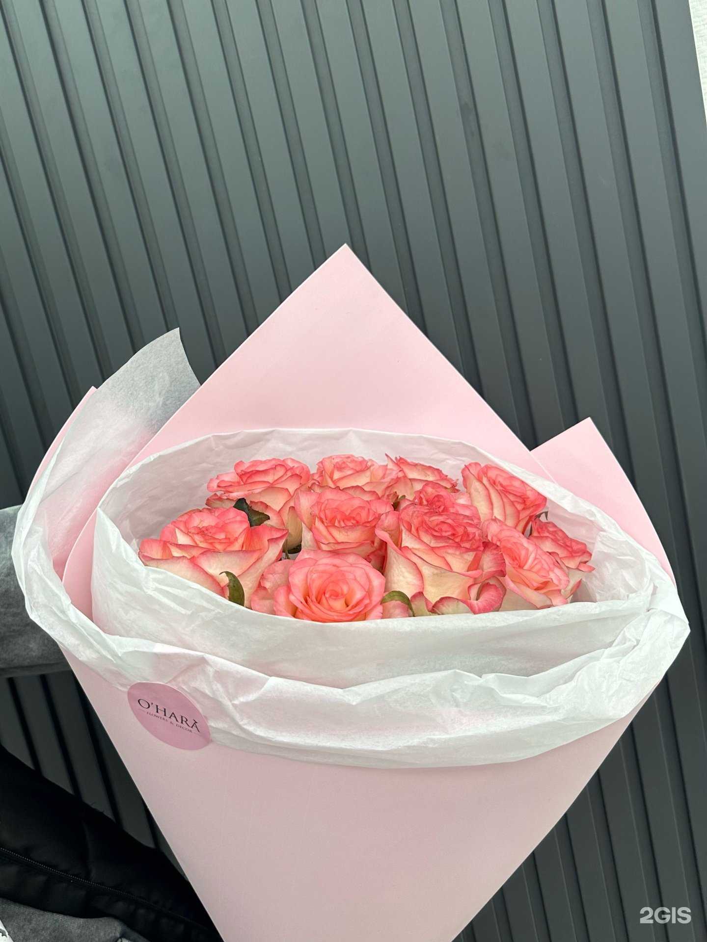 Отзывы на компанию O`hara в Новороссийске c фото