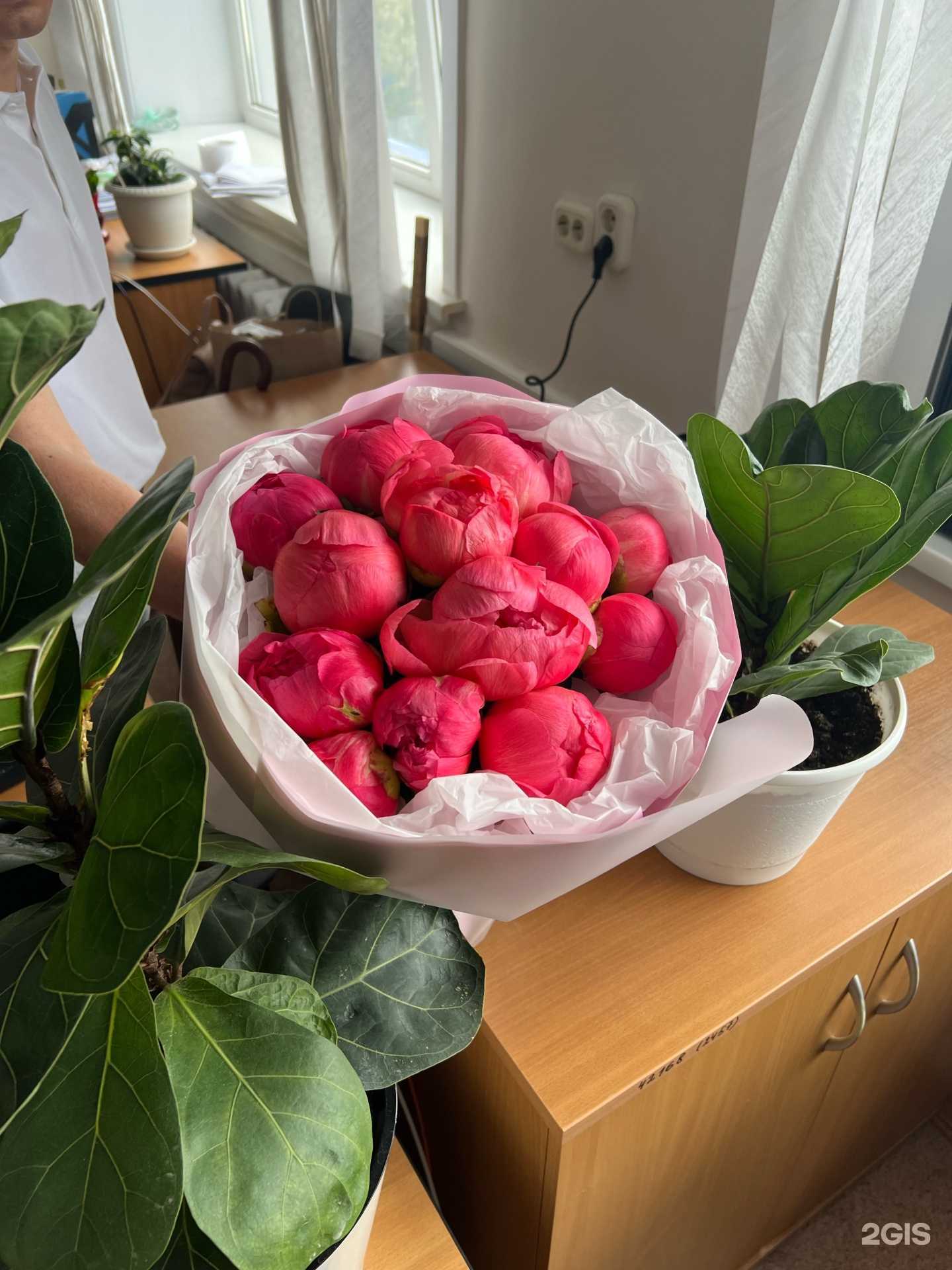 Отзывы на компанию Zeffir в г. Тюмень c фото