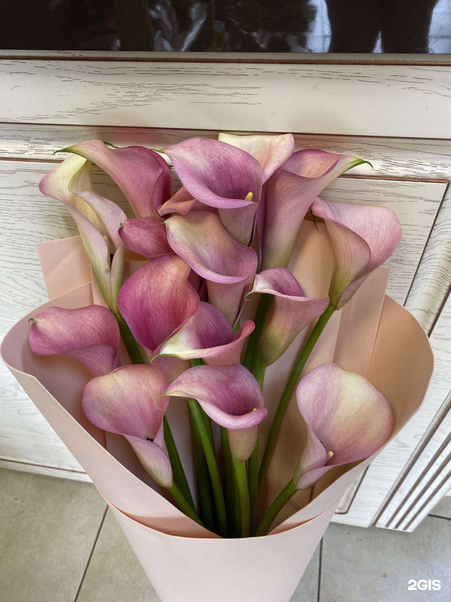 Отзывы на компанию Lady Lavanda в Краснодаре c фото