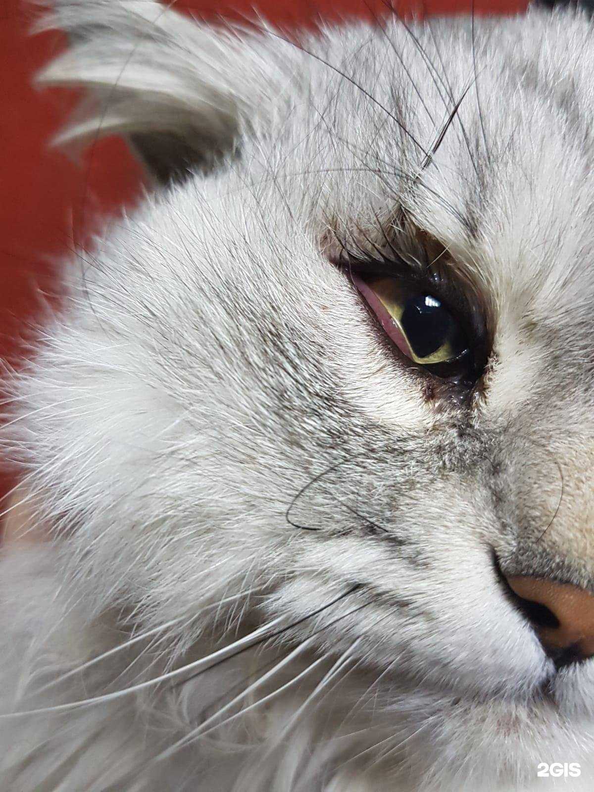 Отзывы на компанию Zoohelp в г. Волгоград c фото