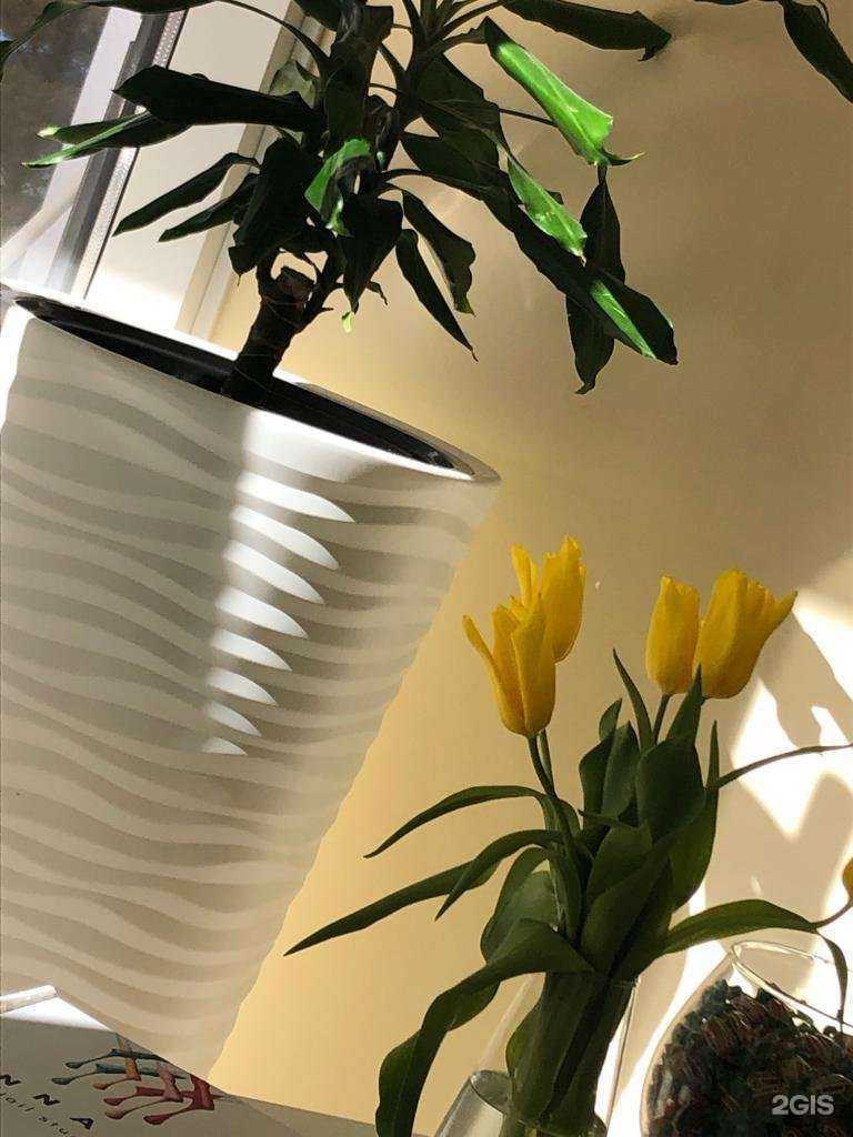 Отзывы на компанию Innail в Краснодаре c фото