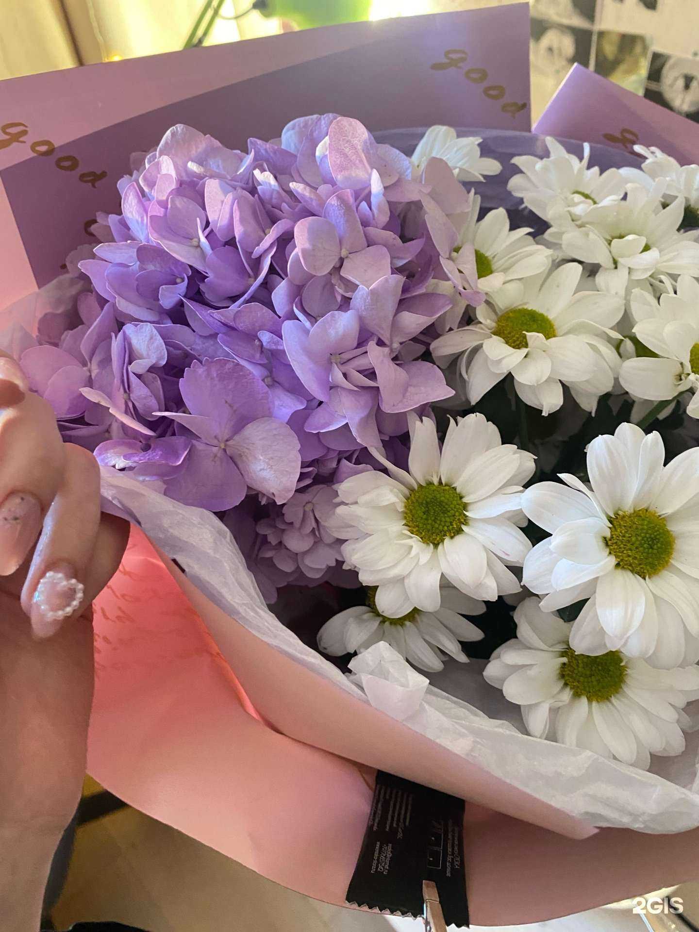 Отзывы на компанию Цветок в большом городе  в Новосибирске c фото