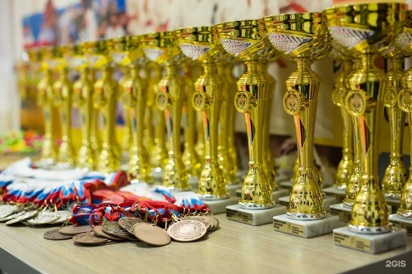 Отзывы на компанию Школа чемпионов в Новороссийске c фото