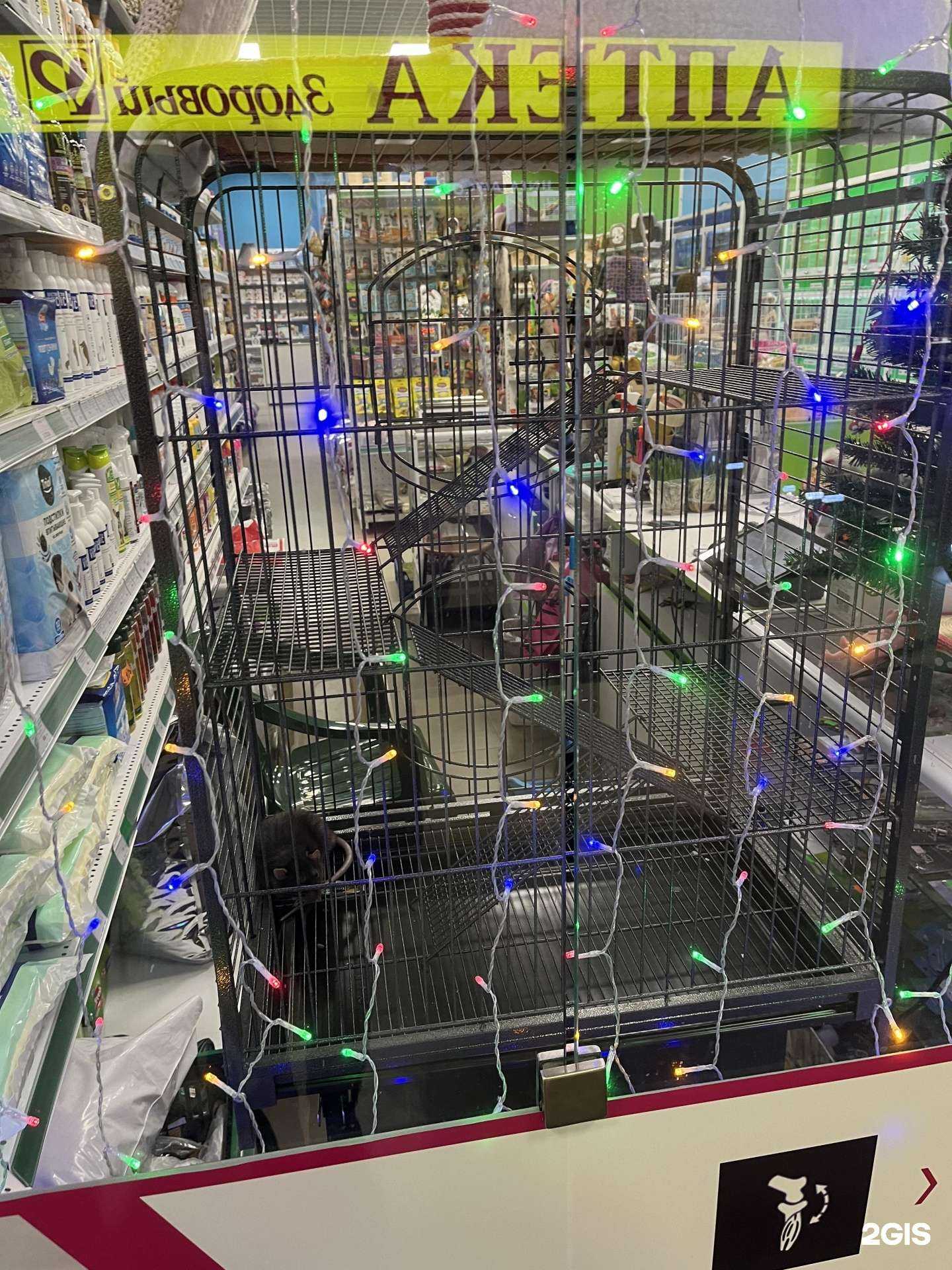 Отзывы на компанию Зоомикс в г. Воронеж c фото