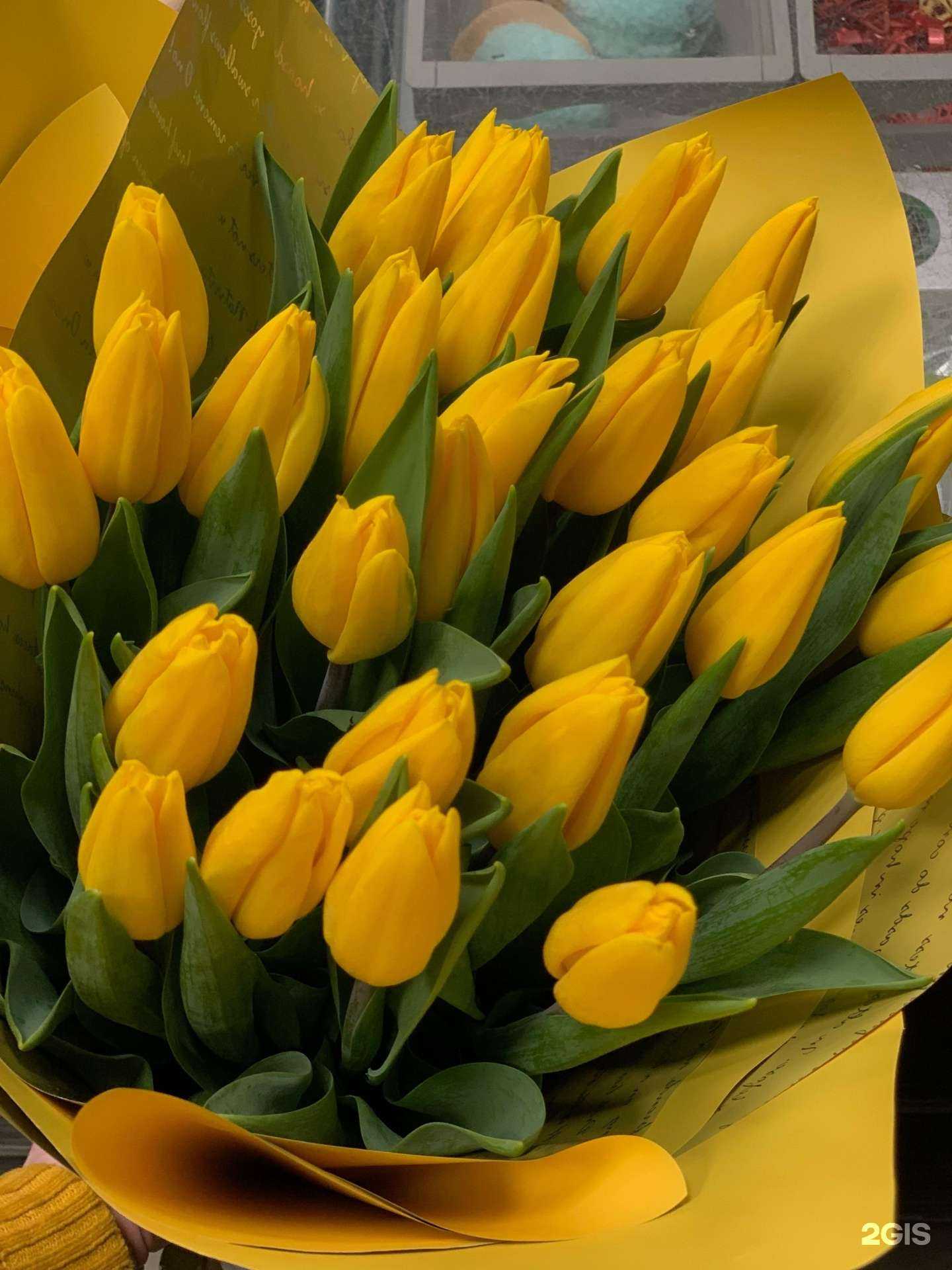 Отзывы на компанию Мята в Улан-Удэ c фото