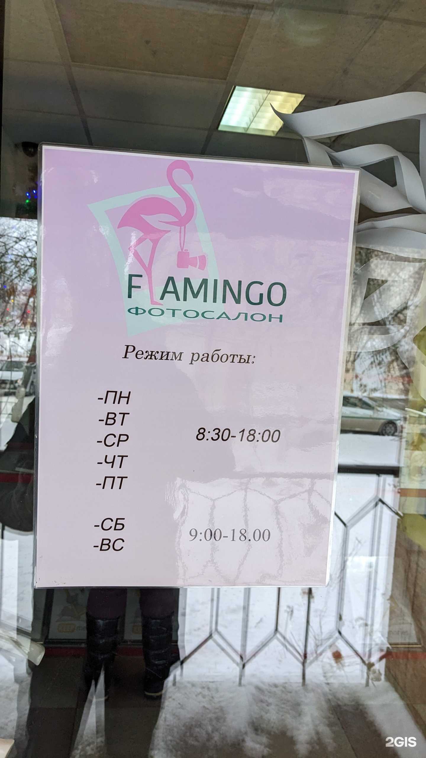 Отзывы на компанию Фламинго в г. Саранск c фото