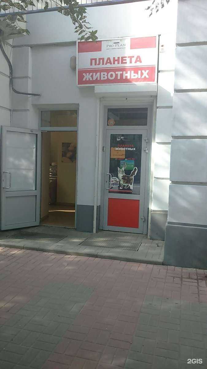 Отзывы на компанию Планета животных в Волгограде c фото