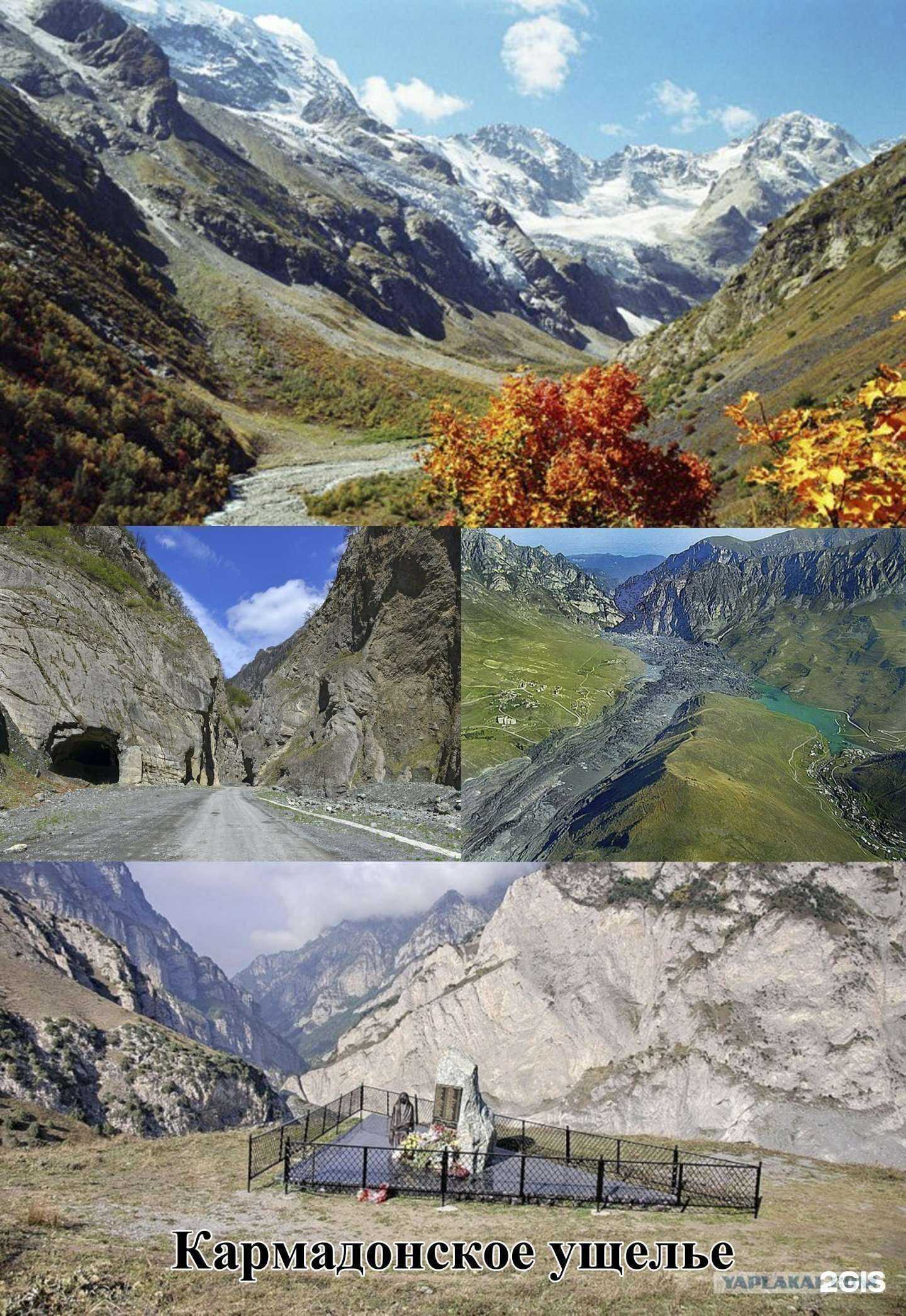 Отзывы на компанию Эдельвейс в г. Кисловодск c фото