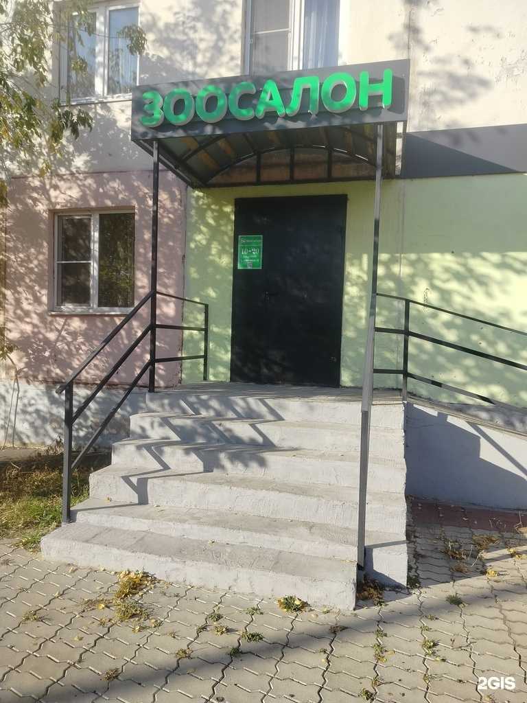 Отзывы на компанию ЗооТюнинг в г. Егорьевск c фото