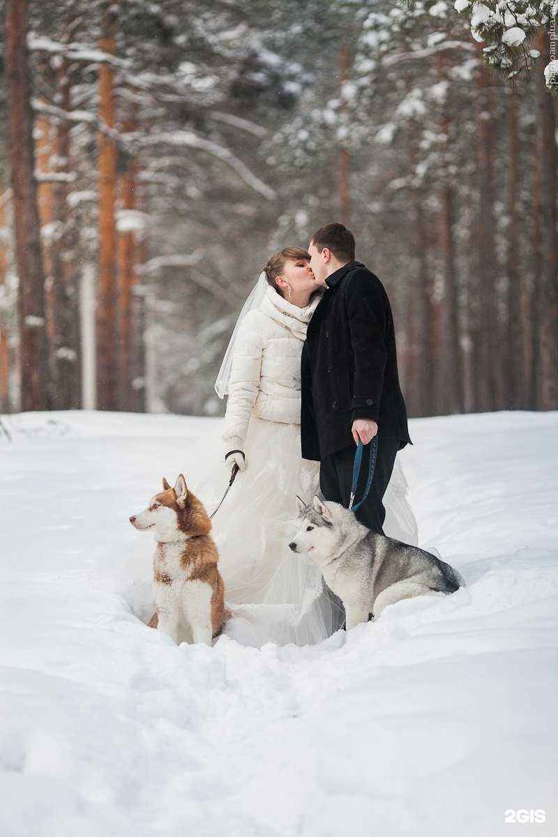 Отзывы на компанию Altay spirit в г. Барнаул c фото