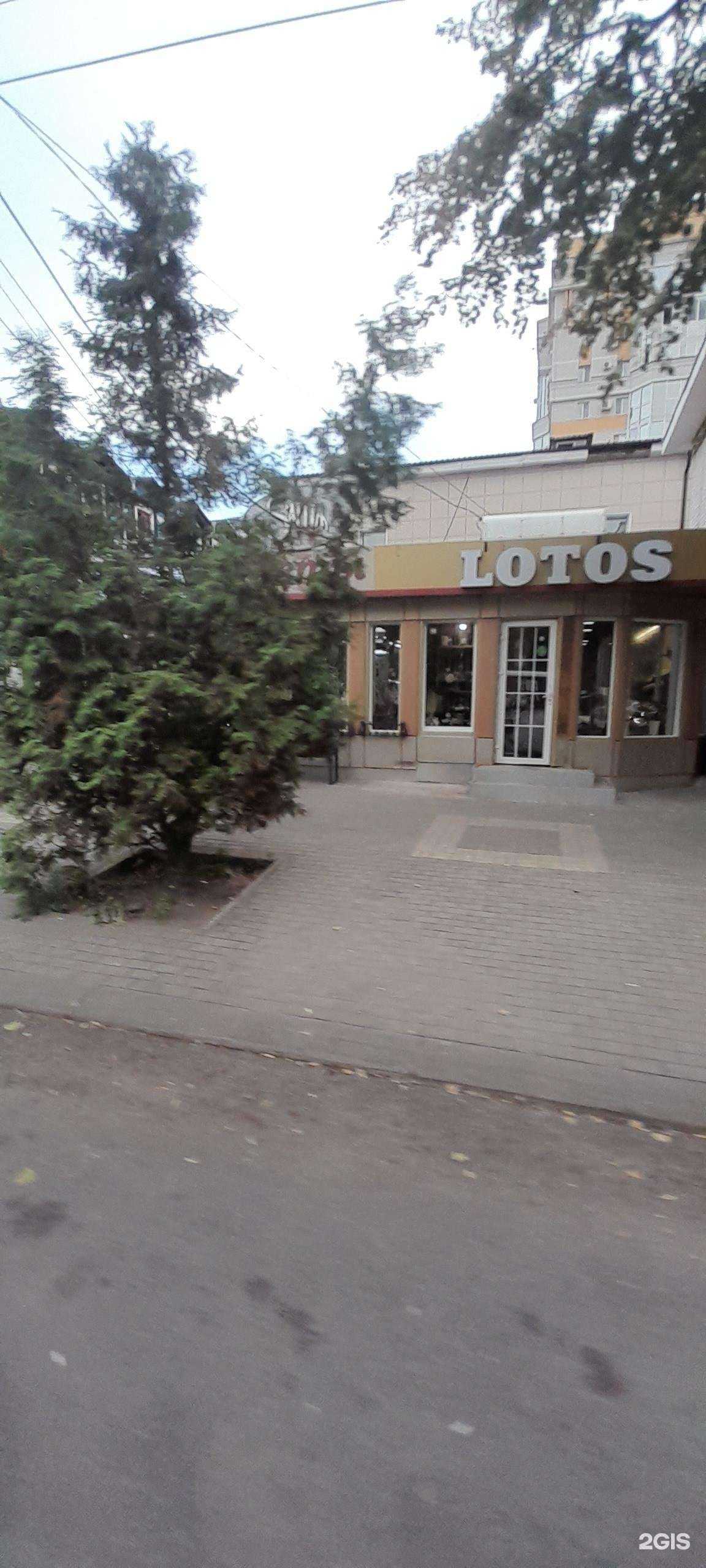 Отзывы на компанию Лотос в Воронеже c фото