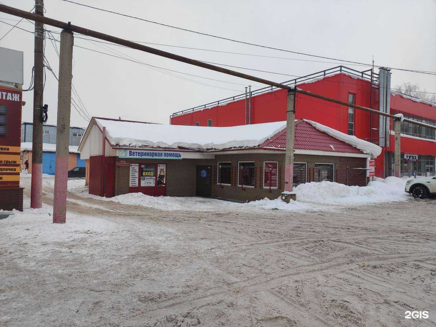 Отзывы на компанию ЗооМед в Нижнем Новгороде c фото - фотография 2 из 2