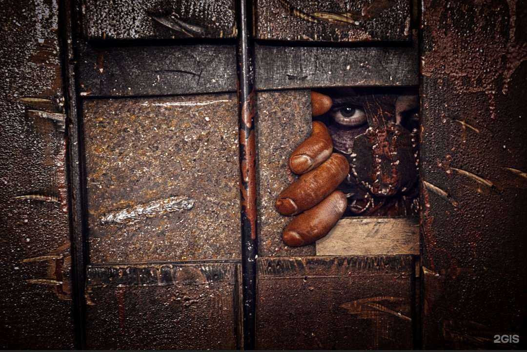 Отзывы на компанию Real quest в г. Омск c фото