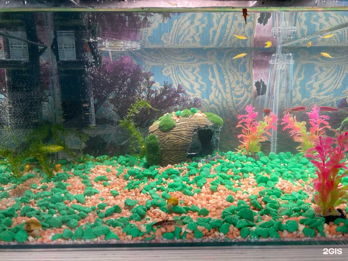 Отзывы на компанию Феликс в Красноярске c фото