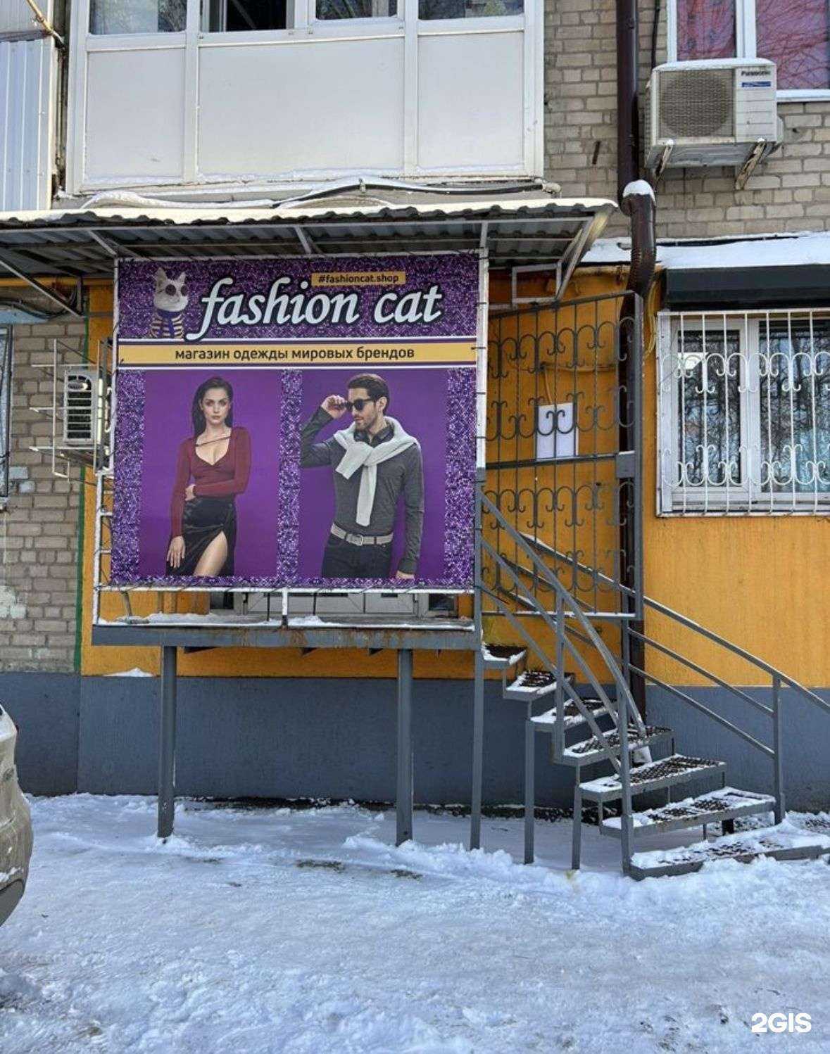 Отзывы на компанию Fashion Cat в Ростове-на-Дону c фото