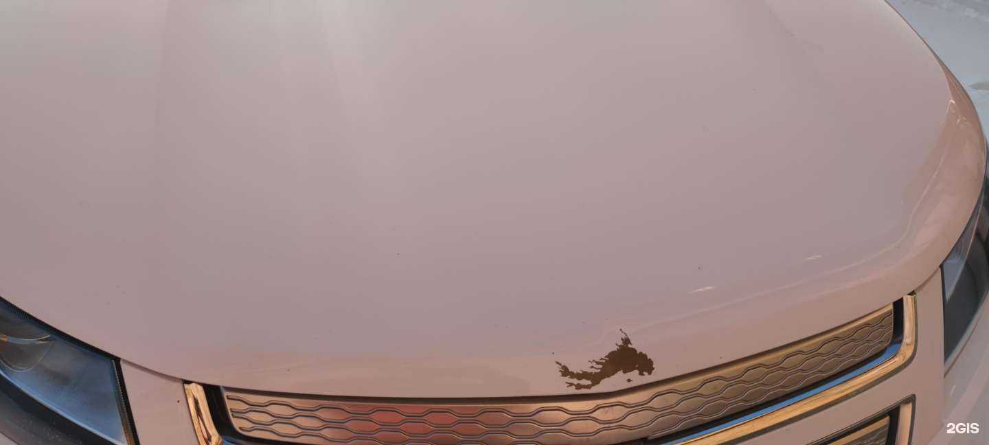 Отзывы на компанию Автомойка в г. Бердск c фото