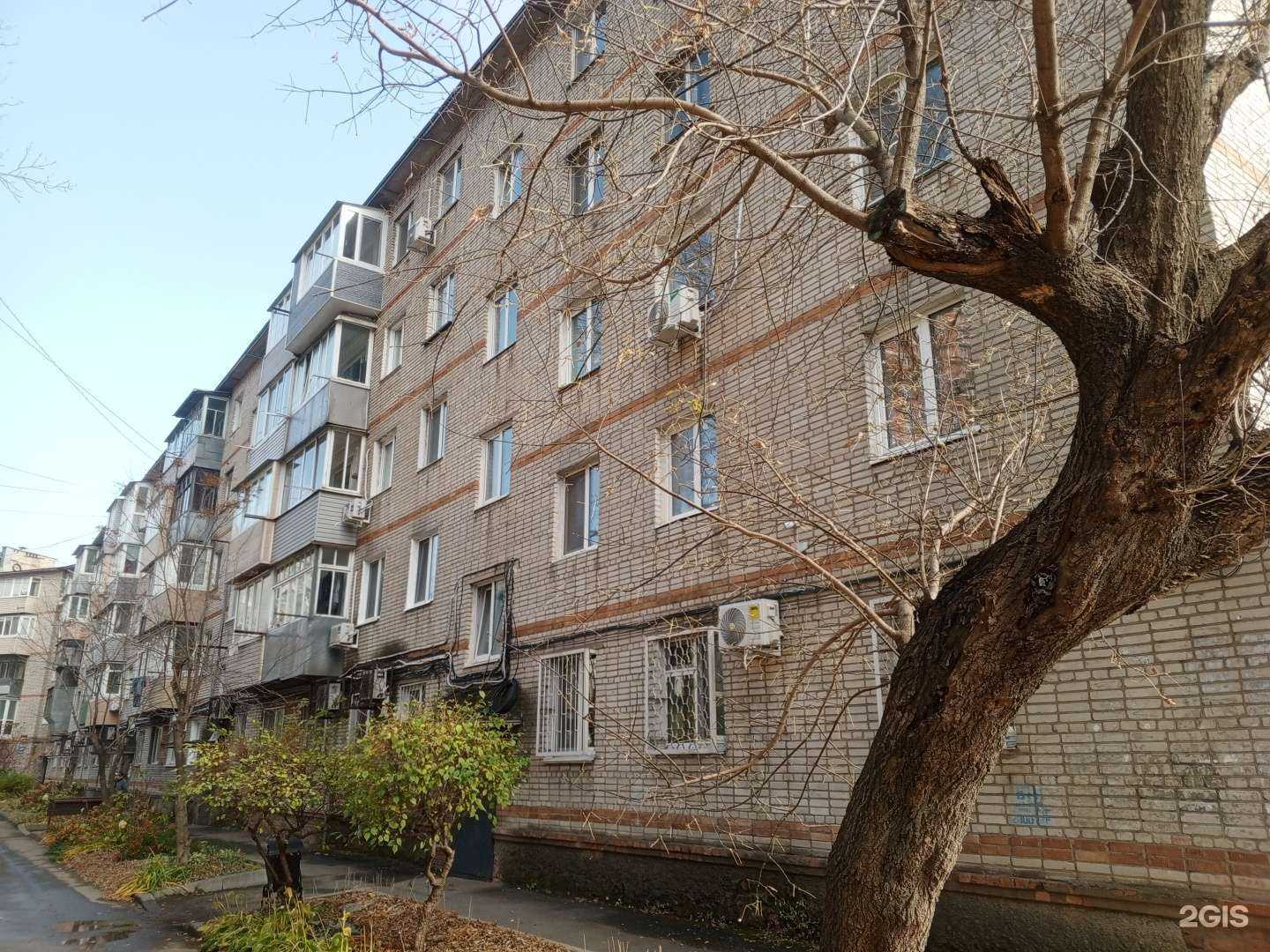 Отзывы на компанию Avocado в Владивостоке c фото - фотография 2 из 2