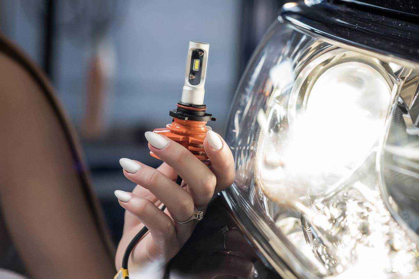 Отзывы на компанию Pandora Pro в Петропавловске-Камчатском c фото