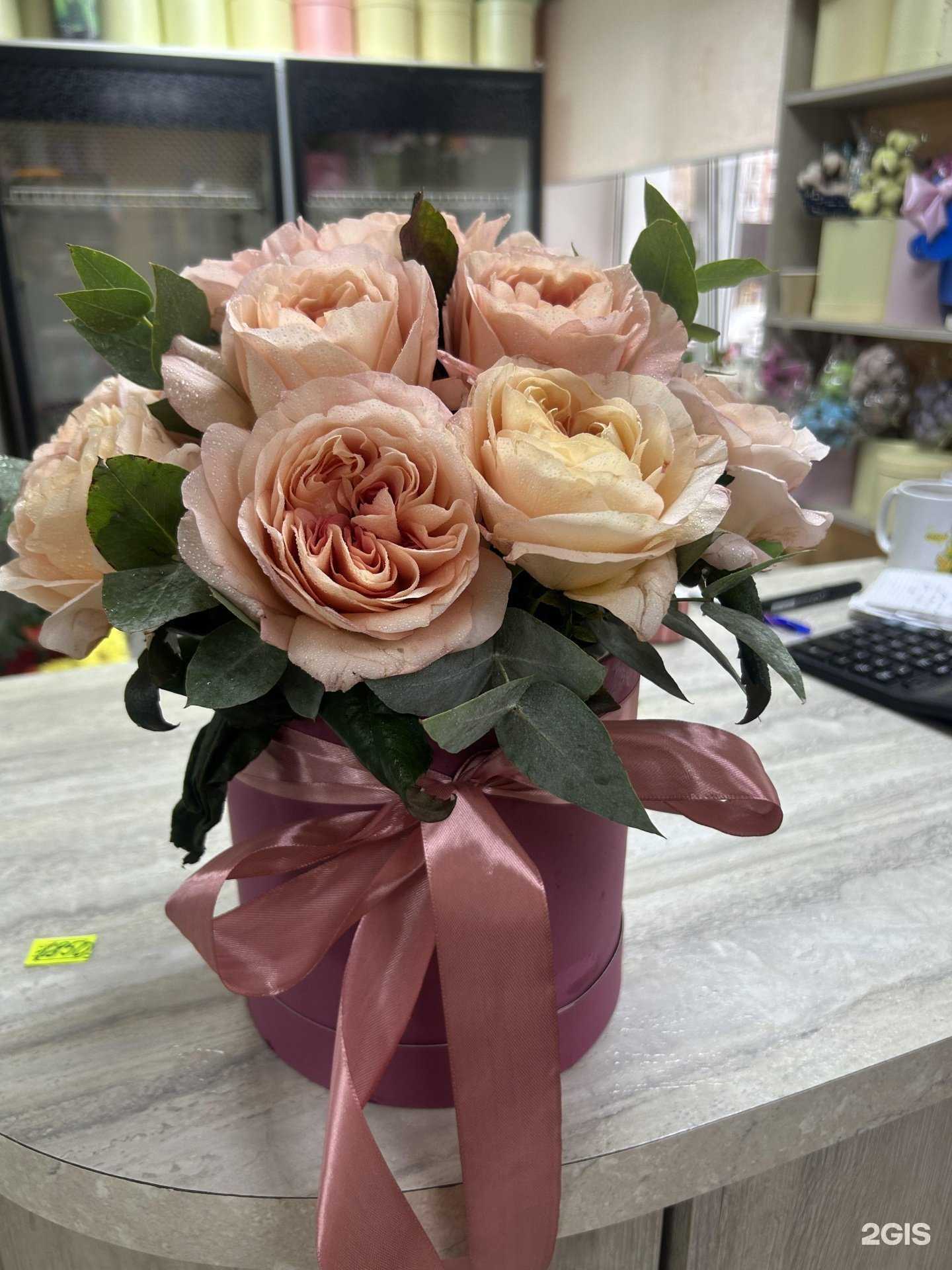 Отзывы на компанию Подсолнух в г. Калуга c фото