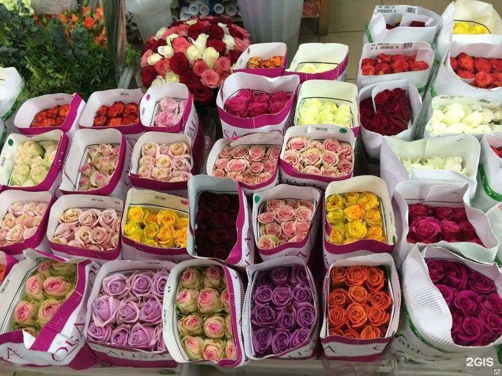 Отзывы на компанию Азалия Flowers опт в Омске c фото