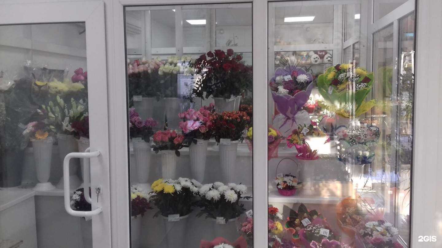 Отзывы на компанию Магнолия в Кургане c фото