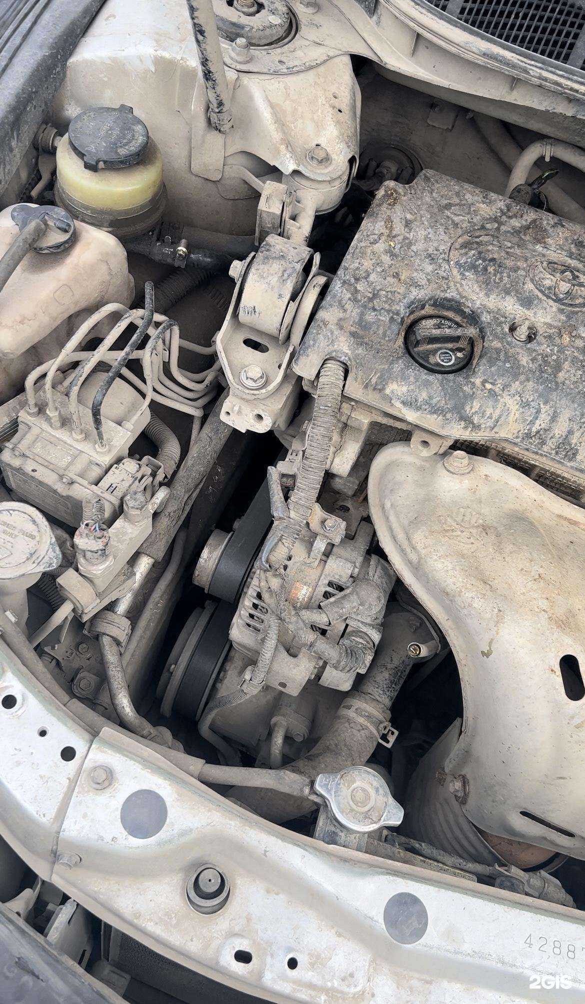 Отзывы на компанию Элит в г. Томск c фото