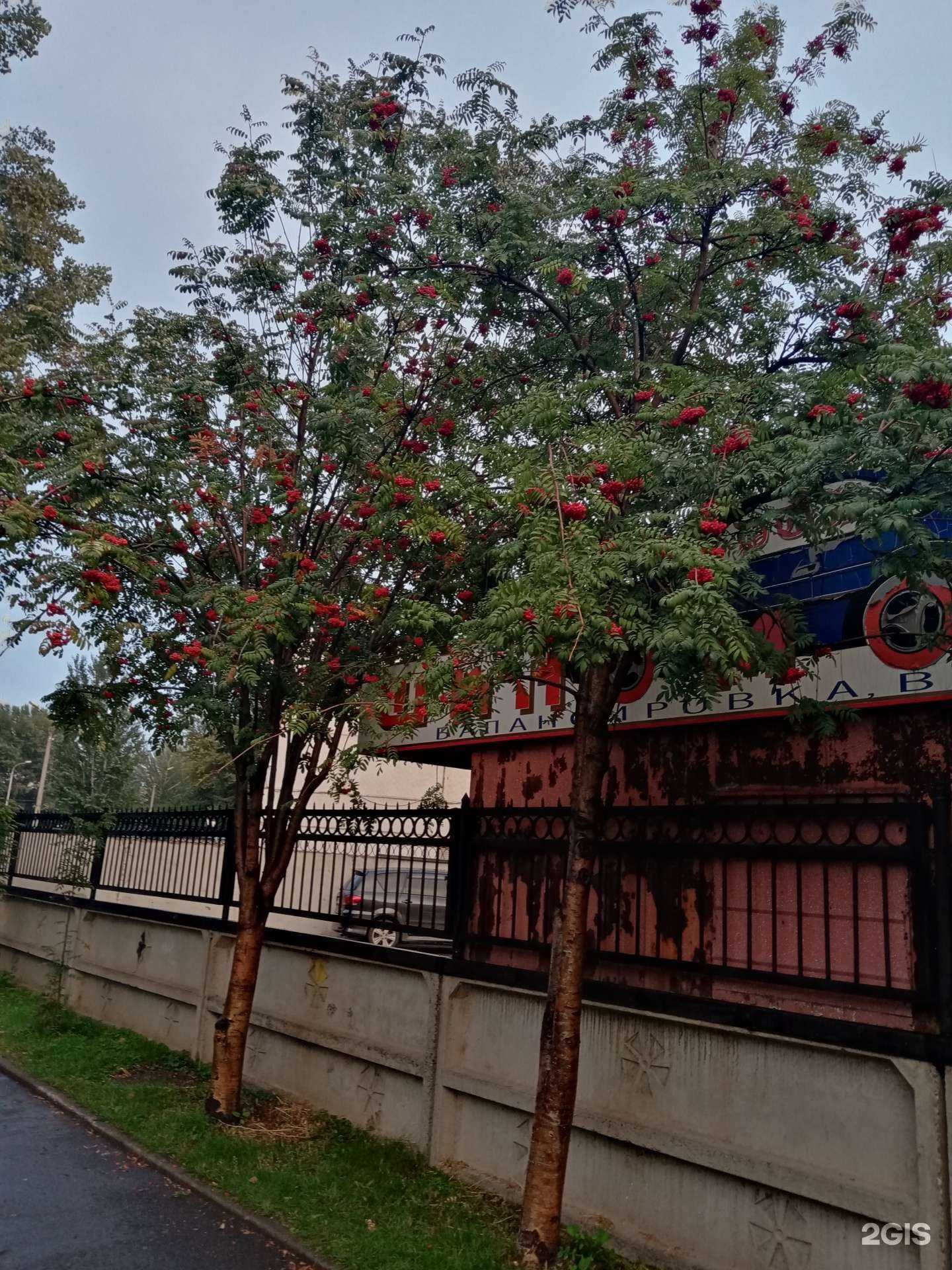 Отзывы на компанию Див в Абакане c фото