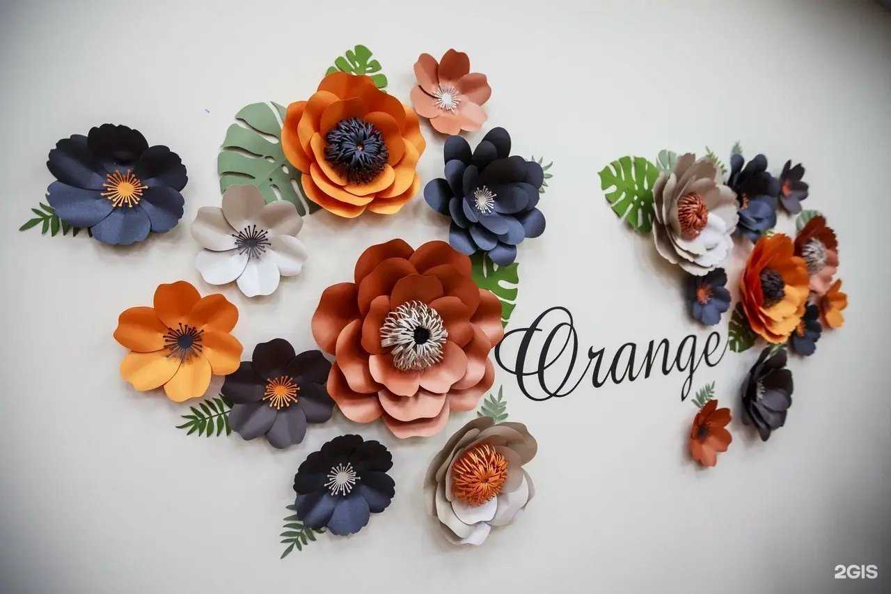 Отзывы на компанию Orange в Видном c фото