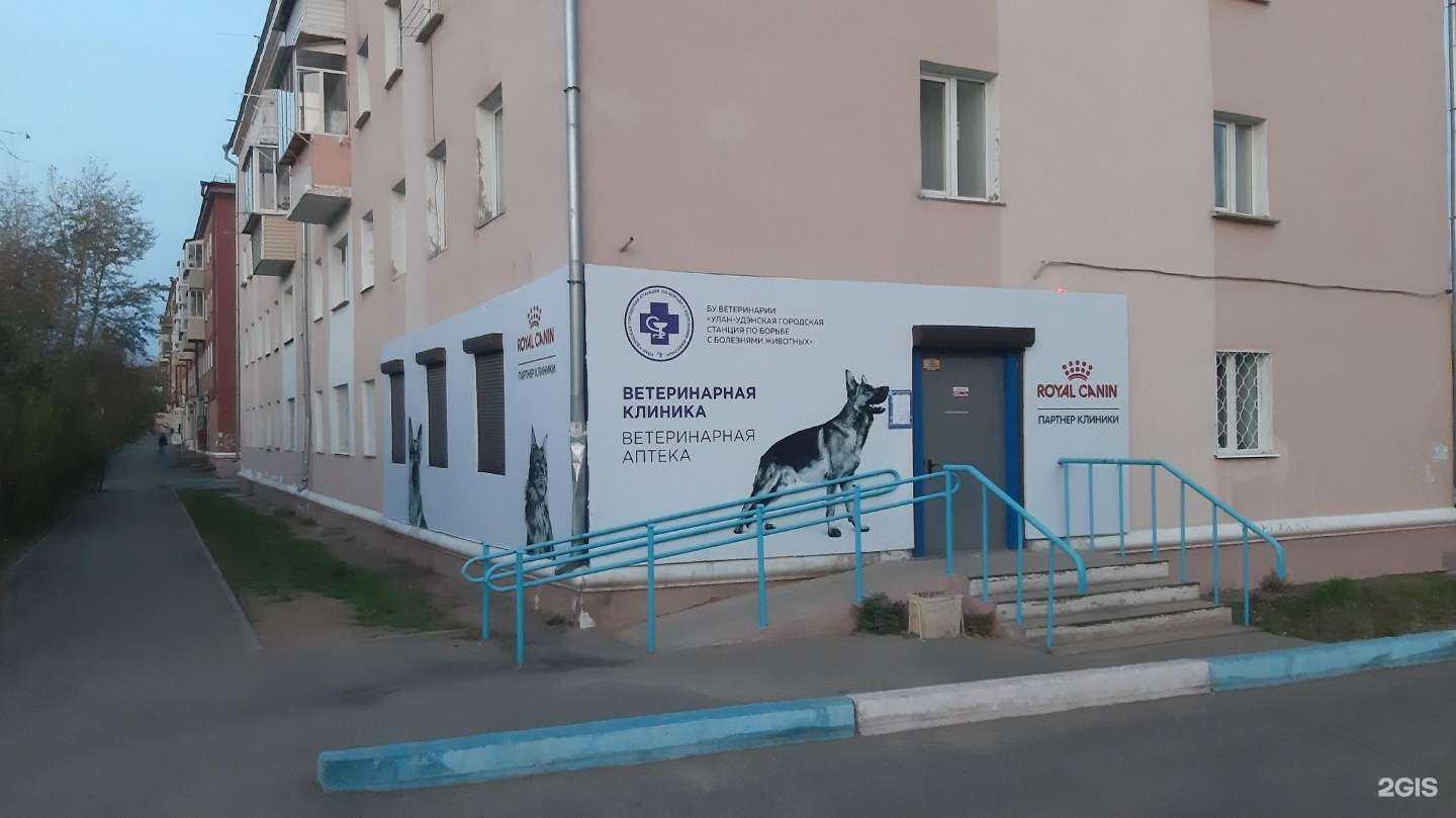 Отзывы на компанию Улан-Удэнская городская станция по борьбе с болезнями животных в г. Улан-Удэ c фото