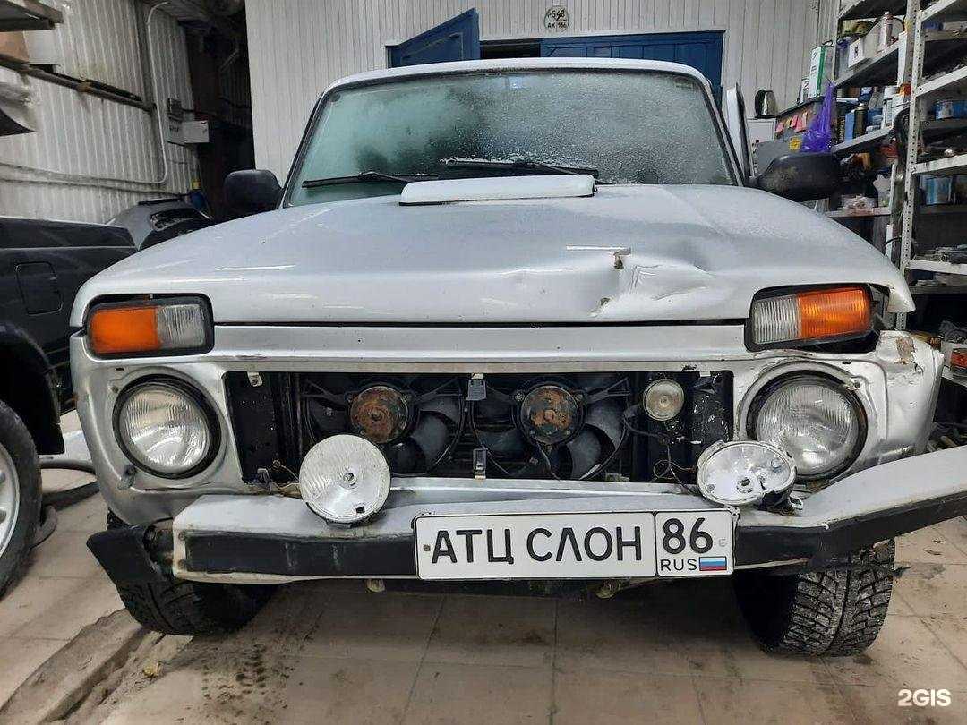 Отзывы на компанию Слон в Нижневартовске c фото