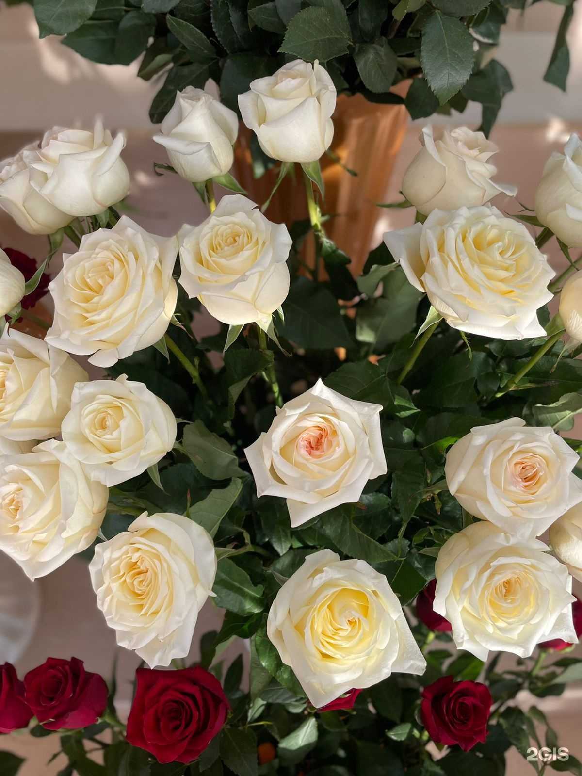 Отзывы на компанию Галерея цветов в Прокопьевске c фото