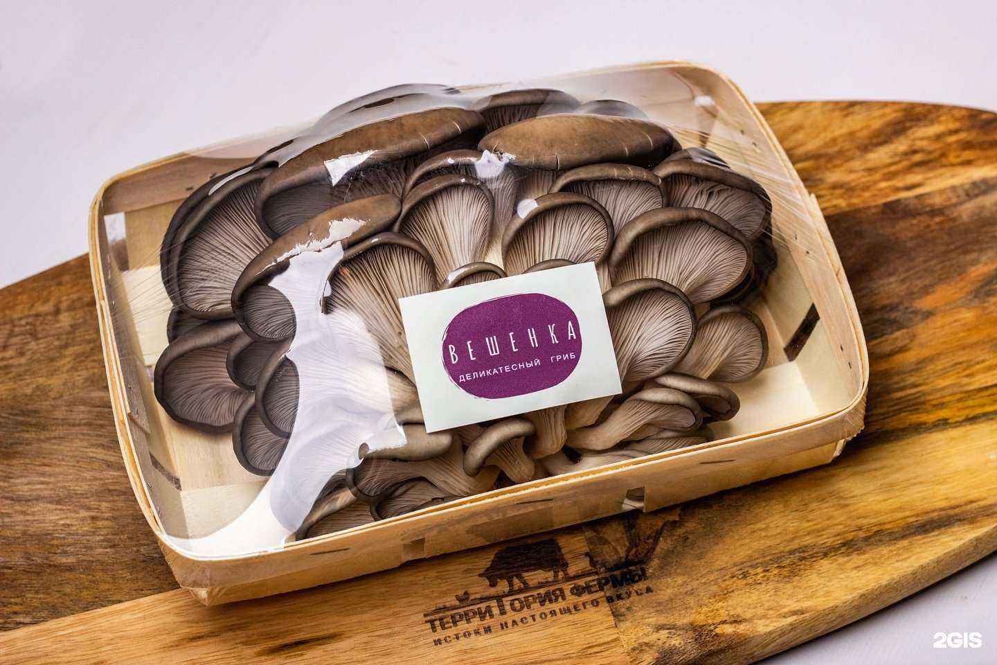 Отзывы на компанию Территория фермы в Нижнем Тагиле c фото