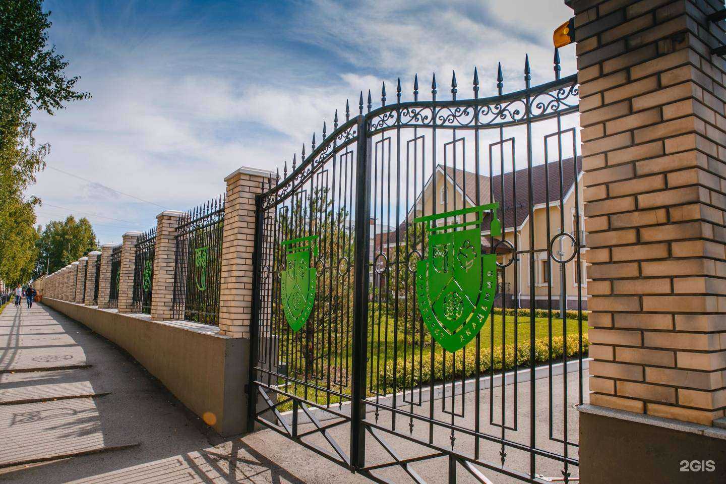 Отзывы на компанию Интеллект Академия в Новокузнецке c фото