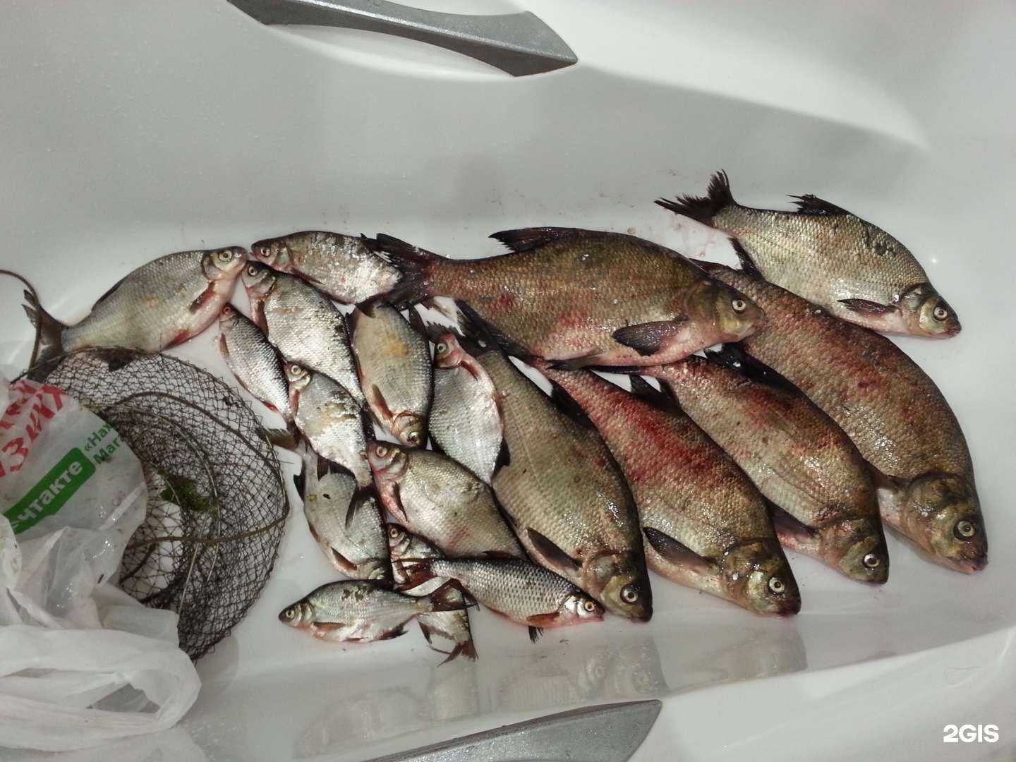 Отзывы на компанию КлЁвый Рыбак в г. Казань c фото