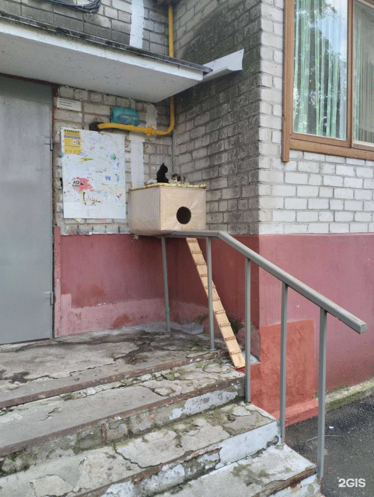 Отзывы на компанию Киностудия им. А.Пешкова  в Тамбове c фото - фотография 2 из 2